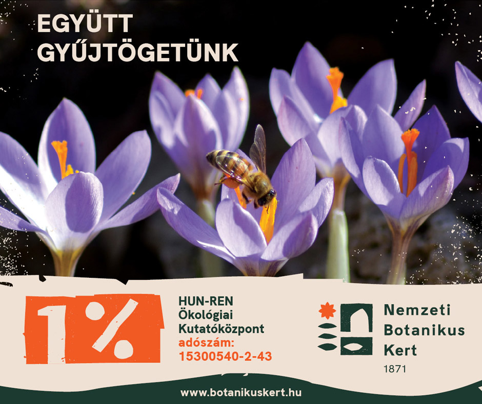 Együtt gyűjtögetünk 1%