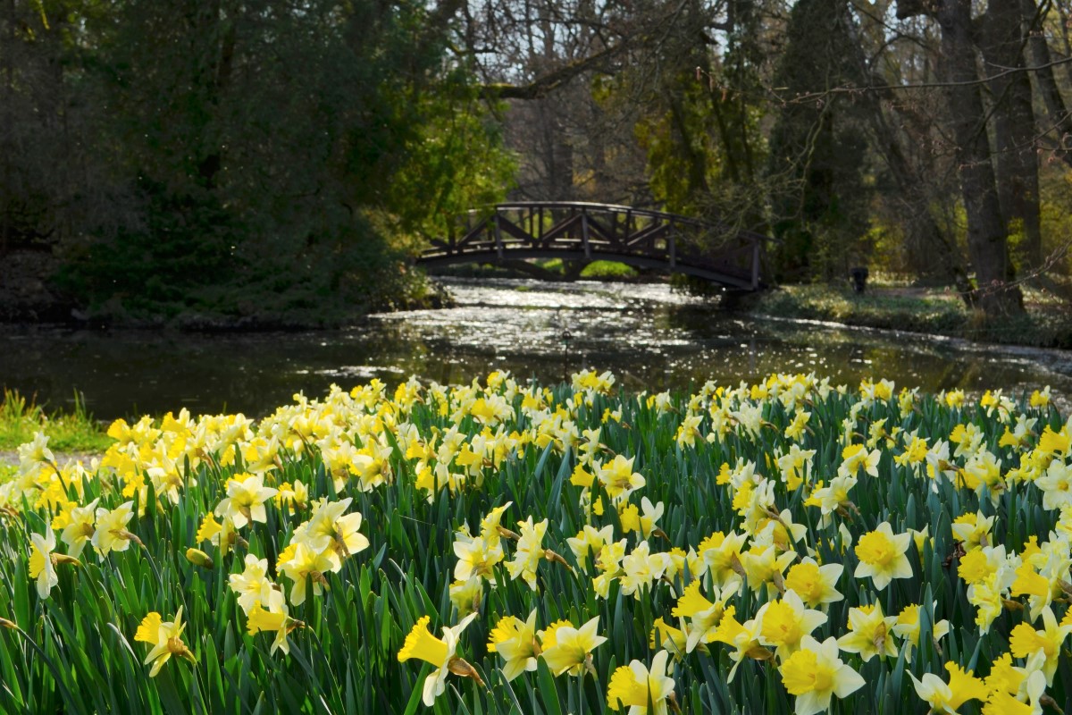 Ünnepi nyitvatartás