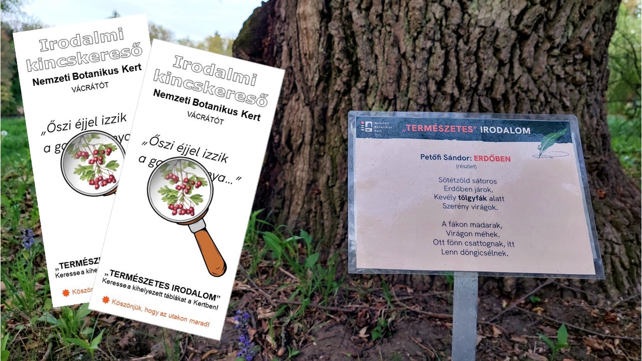 A magyar költészet napja 2024