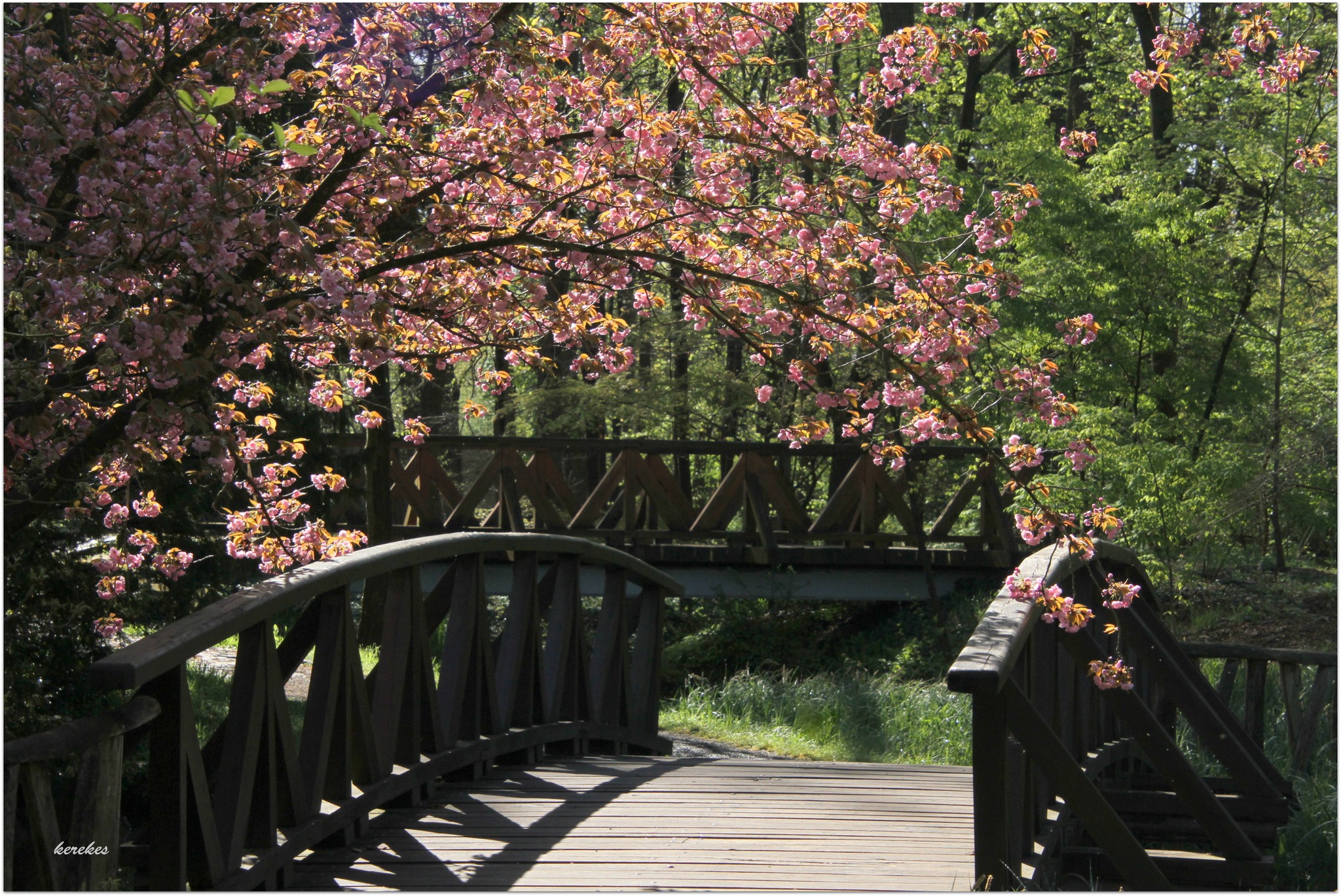 Weboldal frissítés