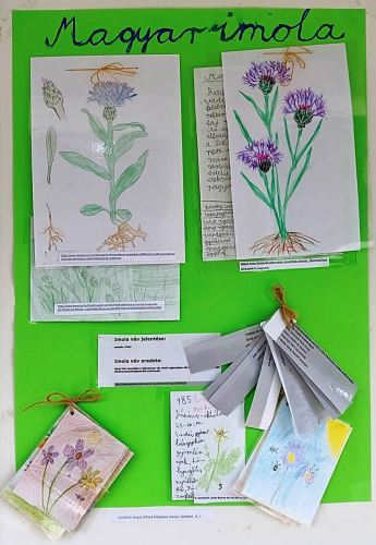 VideoCapture_20230526-134153aj