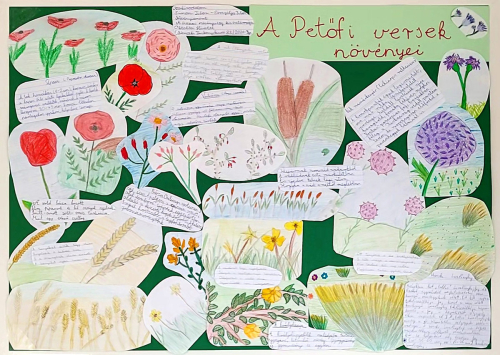 VideoCapture_20230526-134209j