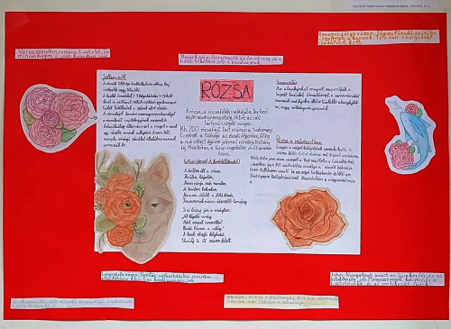 VideoCapture_20230526-134214j