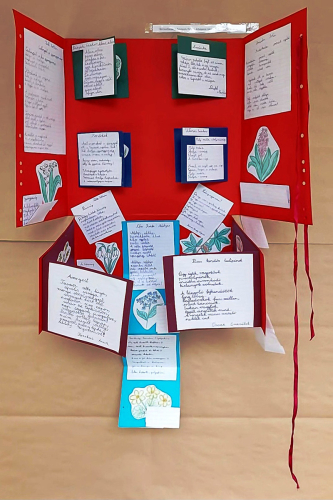 VideoCapture_20230526-134359j